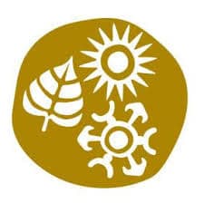 Chanakya University