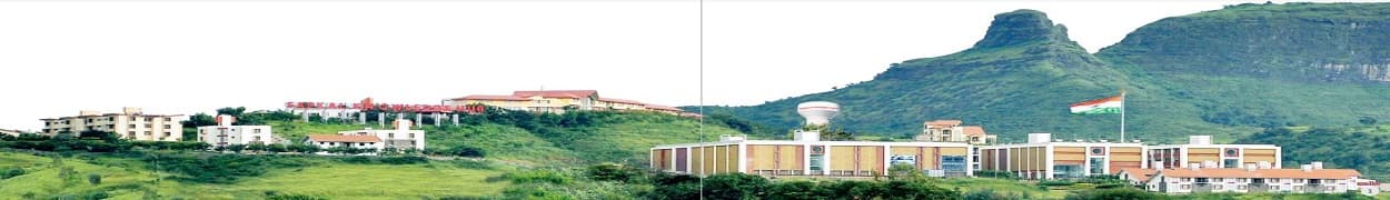 R.G. Sapkal Institute Of Pharmacy
